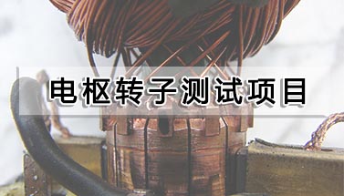 電樞轉(zhuǎn)子測試項目