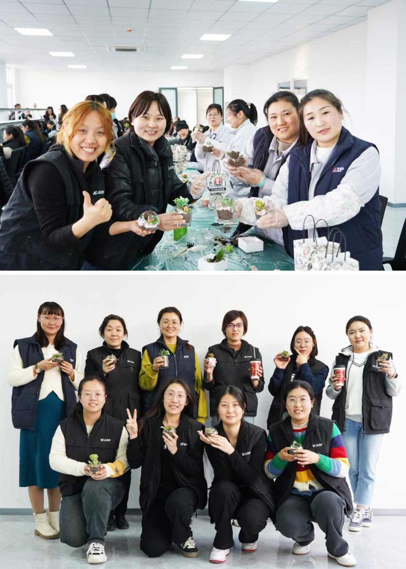 3.8 婦女節(jié)丨微景觀DIY，一起邂逅微世界里的春日—AIP艾普